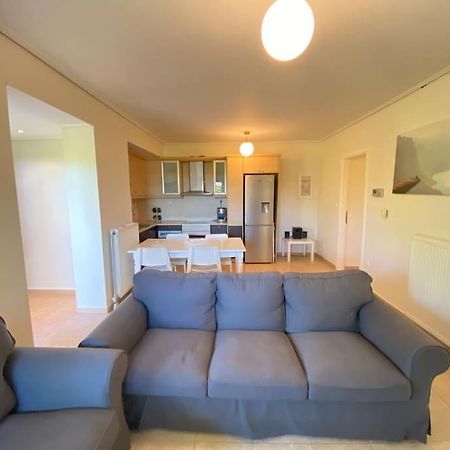 Cozy 2 Room Apartment With Garden Near Athens Air-Port アルテミダ エクステリア 写真