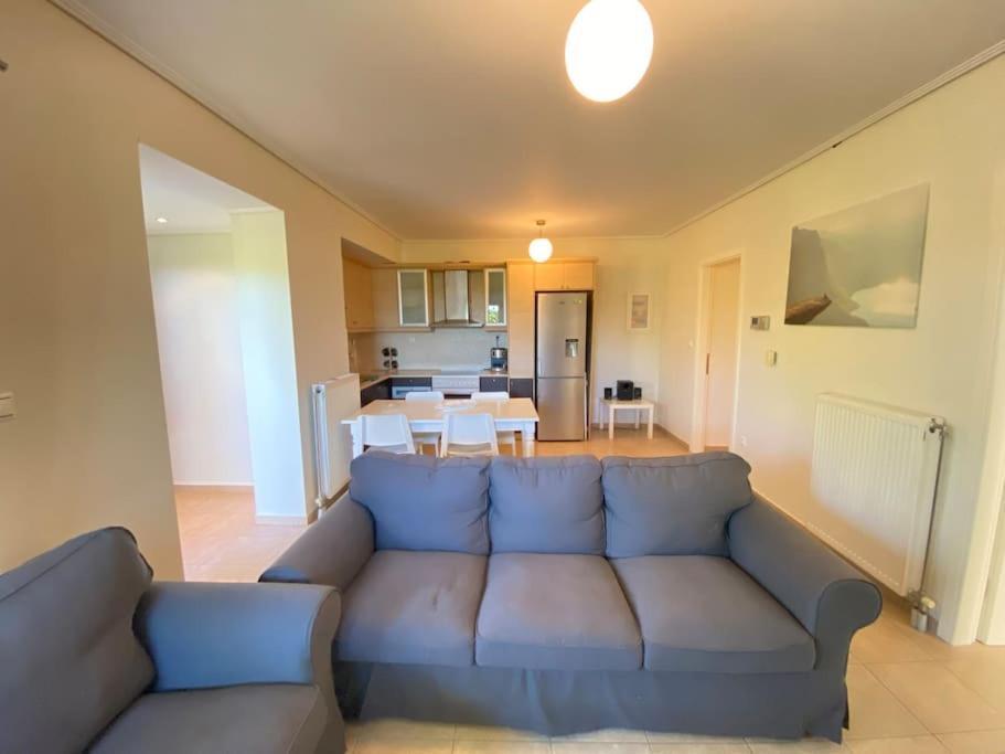 Cozy 2 Room Apartment With Garden Near Athens Air-Port アルテミダ エクステリア 写真